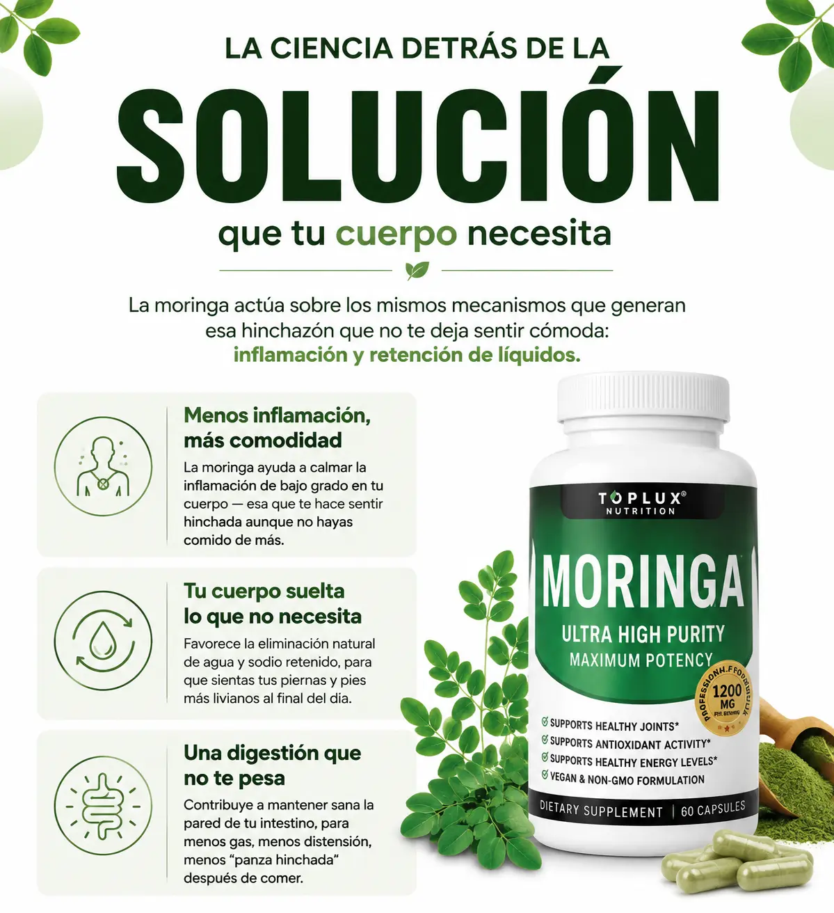La ciencia detras de la moringa: menos inflamacion, eliminacion de liquidos y digestion mas comoda