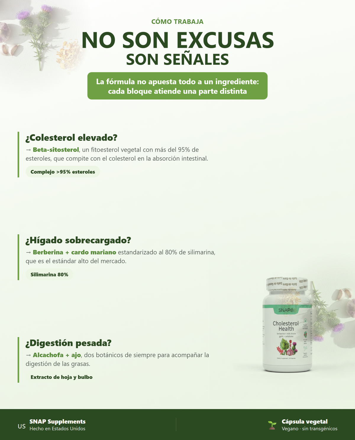 Cómo trabaja: beta-sitosterol, berberina con cardo mariano, alcachofa y ajo