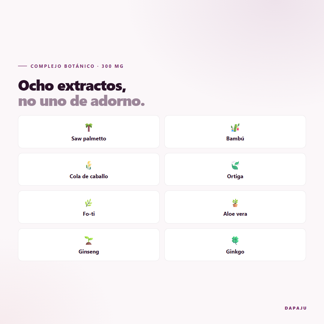 Ocho extractos botánicos: saw palmetto, bambú, cola de caballo y más
