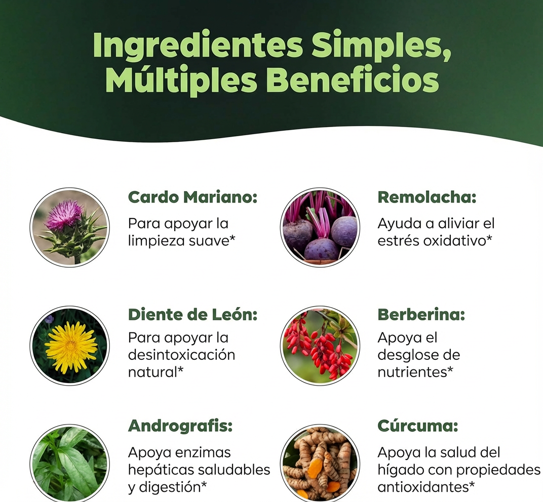 Ingredientes simples, múltiples beneficios